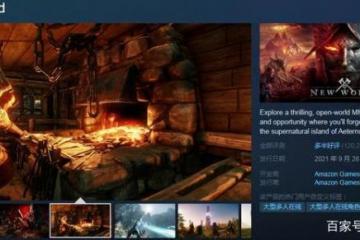 《遗迹2》Steam峰值在线人数逼近10万，开发商表示将全力修复游戏BU